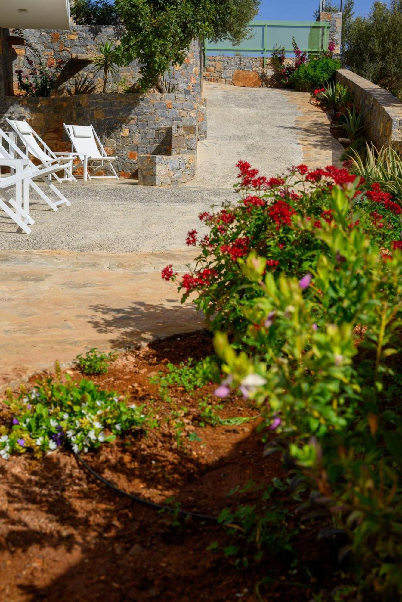 Roots In Crete Apartmán